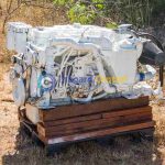 Cummins QSB 330 HP 5.9L Marine Diesel Engine 2005